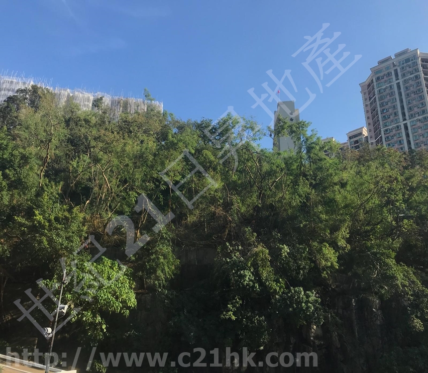 百福花園 百福花園